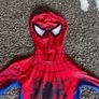 Spider Man Costumes Image 2