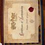 Harry Potter Limited Edition DVD/Blu-Ray Set Image 4