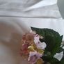 Antique Linen Tablecloths Etc Image 10