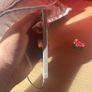iphone 5 Image 4