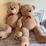 Teddy Image 2