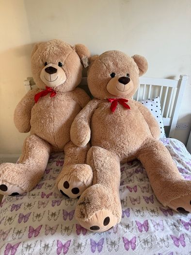 Teddy