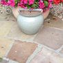 gardening Image 5