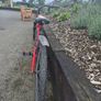 Kids bike Image 2
