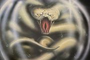 whitesnake vinyl lp