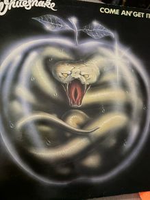 whitesnake vinyl lp