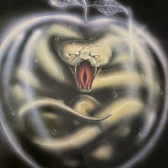 whitesnake vinyl lp