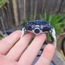 Casio G-shock Gdb-100-1a7 Image 3