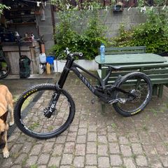Canyon sender cfr Size large