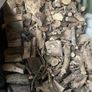 Firewood/timber for sale Image 2