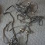Equitation leathers etc Image 4