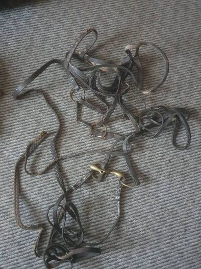 Equitation leathers etc