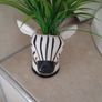zebra artificial plant and pot Image 3