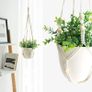 3 Pack Macrame Plant Hangers Indoor Hanging Planter Basket Flower Pot Holder Cotton Rope with Beads No Tassels, 58cm/73cm/89cm Image 6