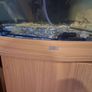 Fish Image 5