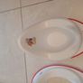 baby potty and toilet seat insert Image 3