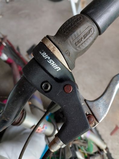 Free Raleigh Bike