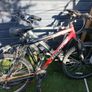 mountain bike Image 3