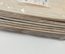 15 Disposible Plates