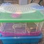 Hamster Cage Image 3