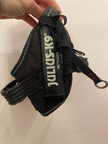 Julius dog collar size small