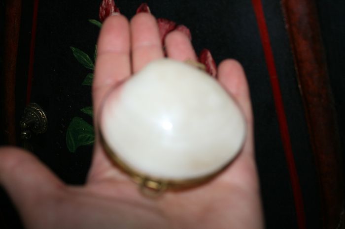 Vintage Genuine Clam Shell Compact Beautiful 2,4"
