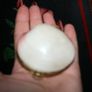 Vintage Genuine Clam Shell Compact Beautiful 2,4" Image 4