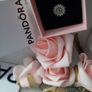 new genuine pandora reflections charm Image 2