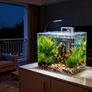 13L Starter Fish Tank Kit, 25  25  22CM Mini Plastic Aquarium with LED Light & USB Filter, DIY Aquascape for Small Betta Fish Image 5