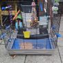 Pet cages from 15E Image 3