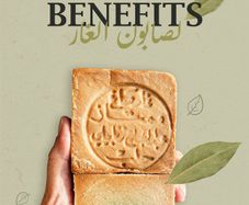 Aleppo Soap Organic Handmade! 15% Lauren 85% Olive
