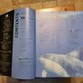OCEAN - The Worlds Last Wilderness Revealed by Fabien Cousteau. Image 5