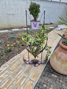 flower pot metal design art work ceramic pot barrel design siting on 2 brass  spikes unique plant  trees  garden statue
