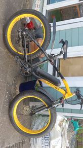 Gogo Best EBike