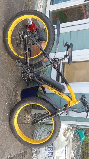 Gogo Best EBike