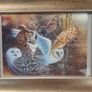 Owl holographic picture Image 2