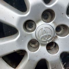 alloys