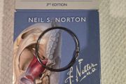 Netters Advanced Head and Neck Flash Cards 3rd Edition