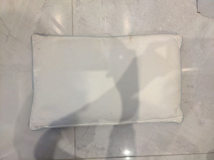 Cushion