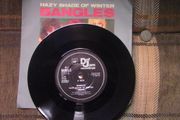 Bangles - Hazy Shade of Winter 7" Single