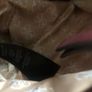 Guess handbag Image 9