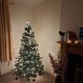 Christmas tree Image 2