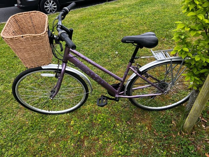 Ladies Appolo Haze ( Fully Serviced )