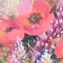 Large Anna Forde Framed Oil on Canvas Image 7