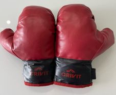 Kids Boxing Gloves