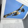 Handbook of the Birds of the World Vol 14 del Hoyo HC Lynx Edicions Ornithology Image 9
