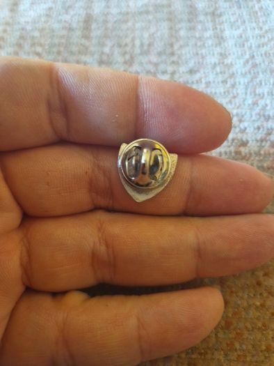 Vintage Pioneer Badge Pin