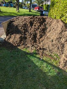 Free soil