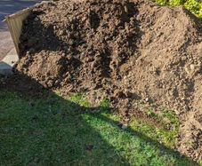 Free soil