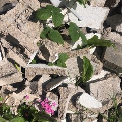 Concrete blocks